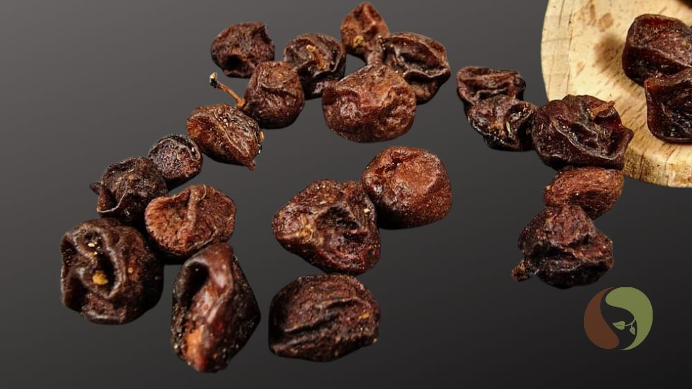 Macmat Fruits - Clausena indica aus Vietnam