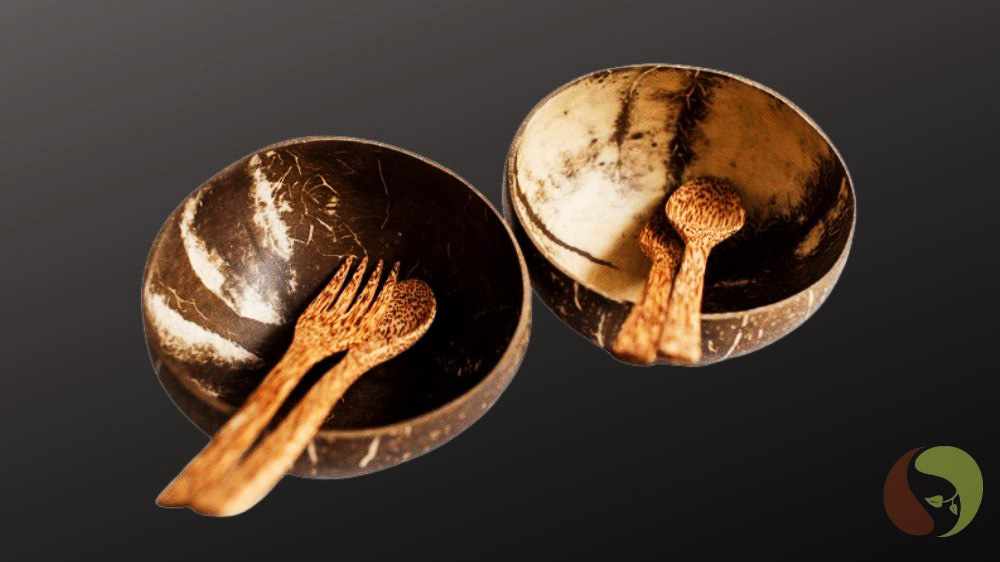 Kokosnussschalen-Set mit Kokosholzbesteck