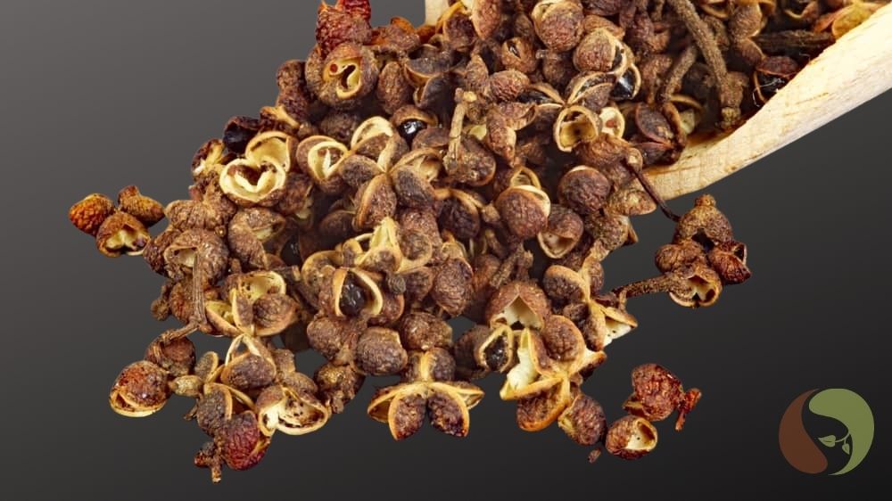 Mắc Khén – wilder vietnamesischer Szechuanpfeffer