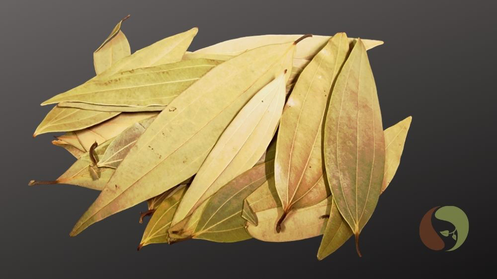 Zimtblätter, Indischer Lorbeer, Malabar Lorbeer