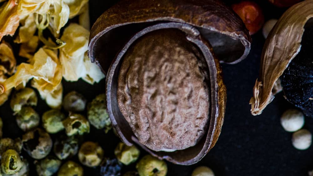 Muskatnuss, extra groß mit Nussschale