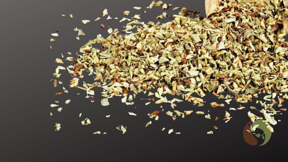 Berg Oregano aus dem Parnon-Gebirge in Griechenland