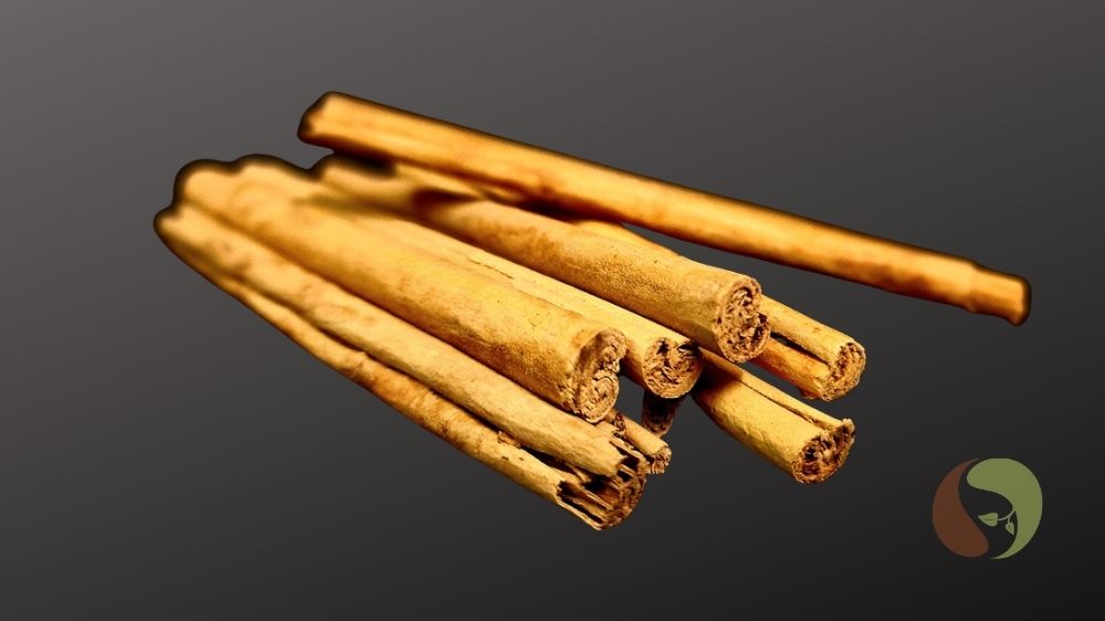 Ceylon Zimt ALBA-Qualität 10 cm Stangen