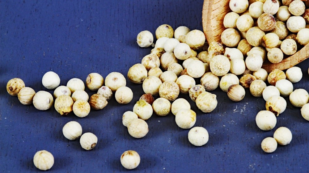 Phu Quoc Pfeffer Creamy white, handverlesen