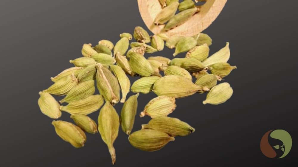 Grüner Kardamom handpikiert aus Sri Lanka