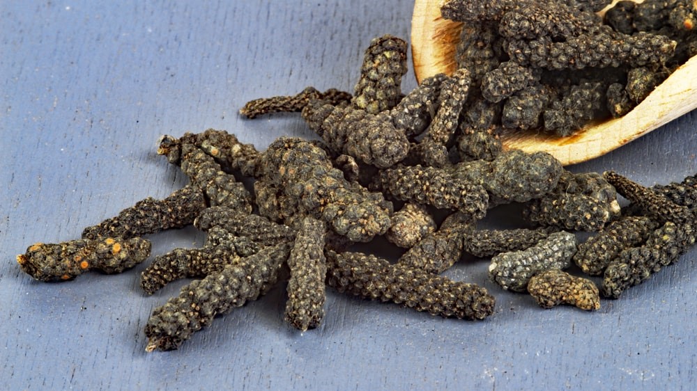 Schokoladenpfeffer -Kleiner Langer Pfeffer