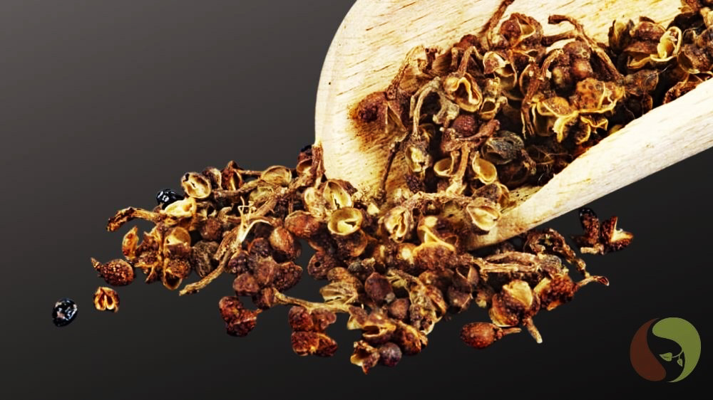 Andaliman Pfeffer - wilder Szechuanpfeffer von Sumatra