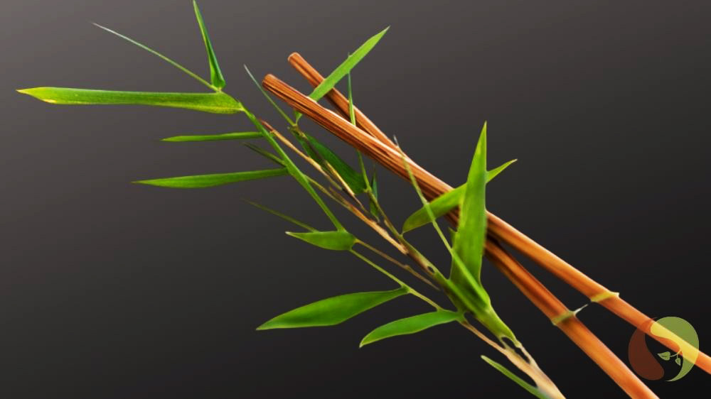 1 Paar Essstäbchen aus Kokospalmholz