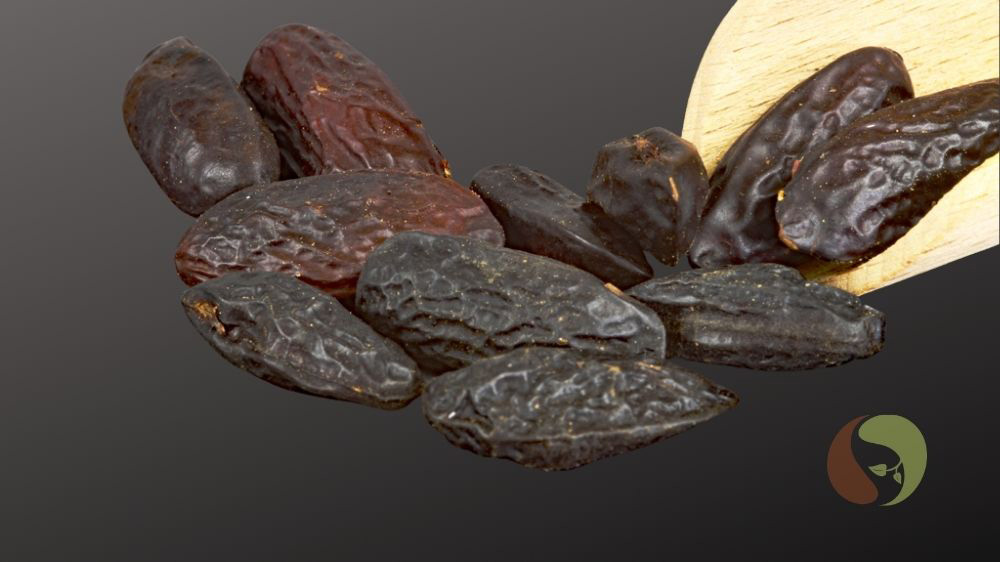 Tonkabohnen – Wildsammlung aus Brasilien