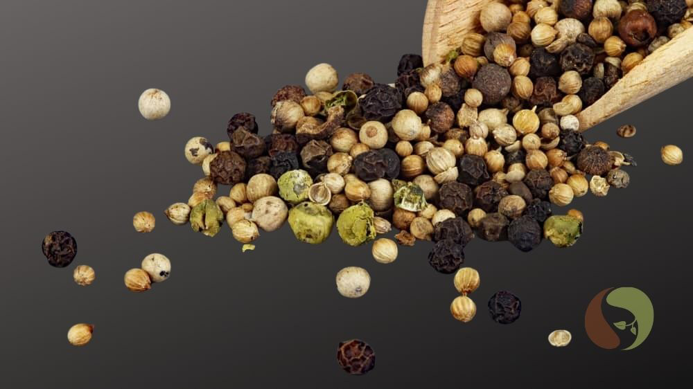 Masawi's Pfeffermix für den Alltag