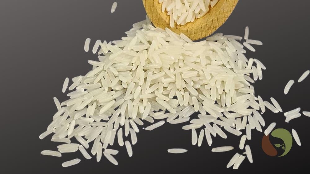 Longchou ST25 - weltbester Reis aus Vietnam