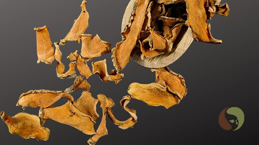 Kurkumascheiben getrocknet, Südvietnam