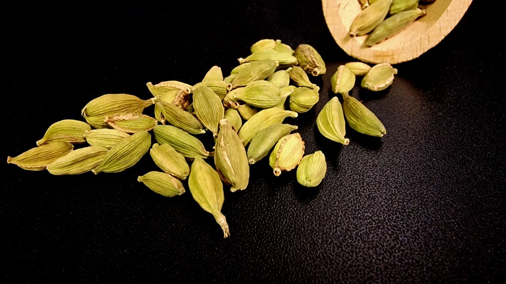 Grüner Kardamom handpikiert aus Sri Lanka