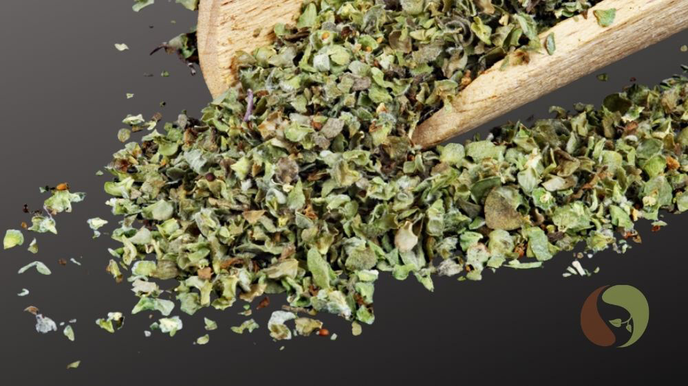 Thüringer Majoran – regional & aromatisch