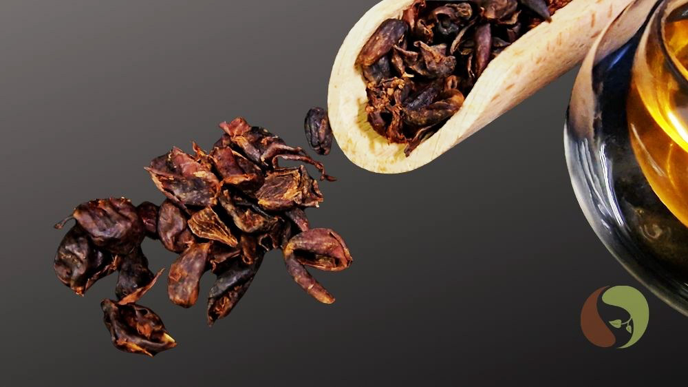 Cascara - Kaffeekirschen aus Vietnam