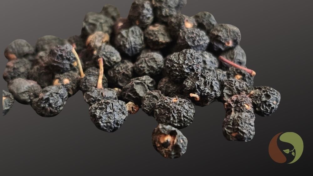 Tasmanischer Bergpfeffer 20 g – Wildsammlung | Masawi
