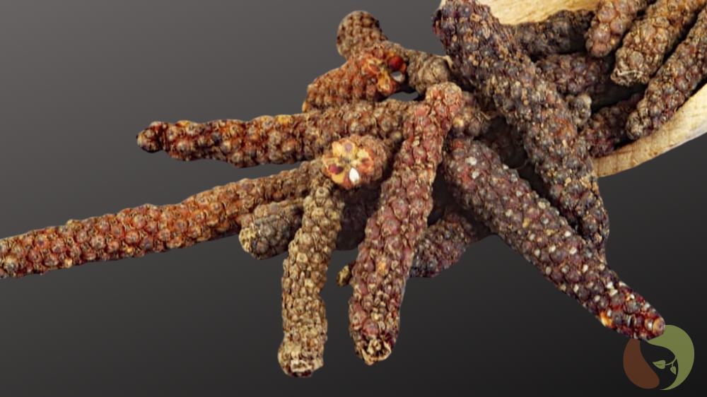 Roter  Langer Pfeffer