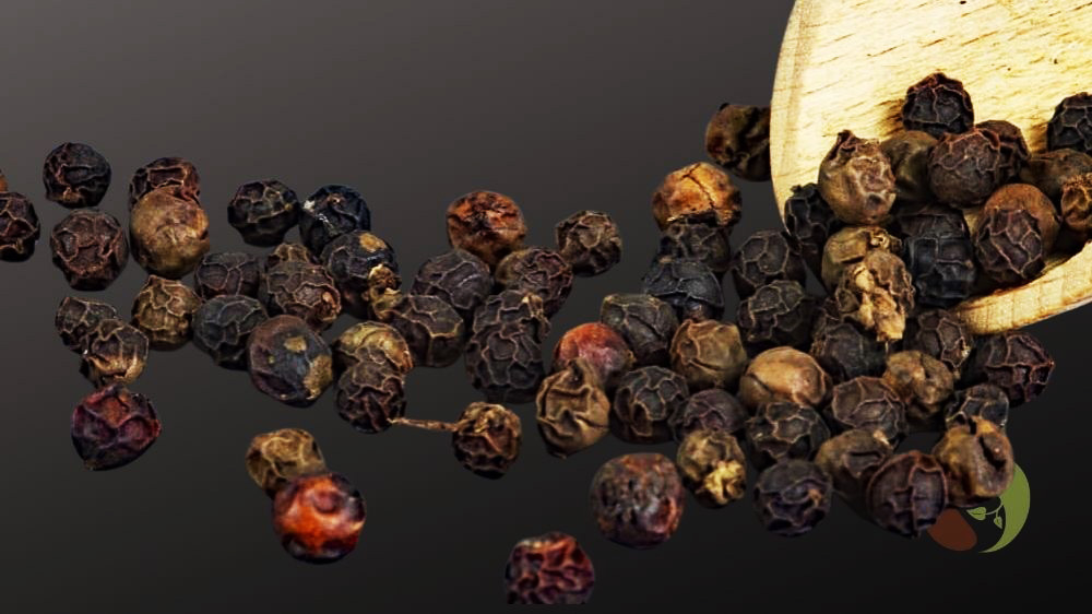 Dak Lak Bergpfeffer aus Vietnam