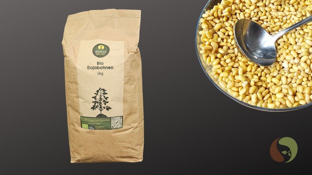 Bio Sojabohnen – regional & gentechnikfrei aus Österreich Kopie