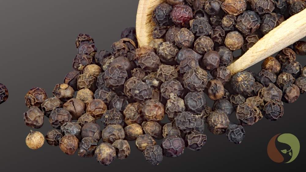 Tigerpfeffer, Malabar Pfeffer