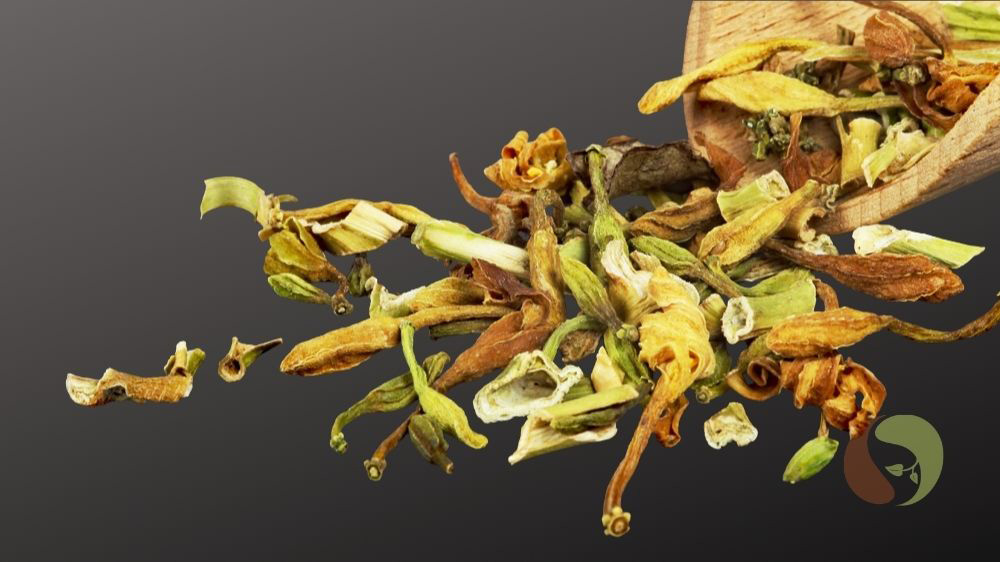 Papaya Blüten aus Vietnam