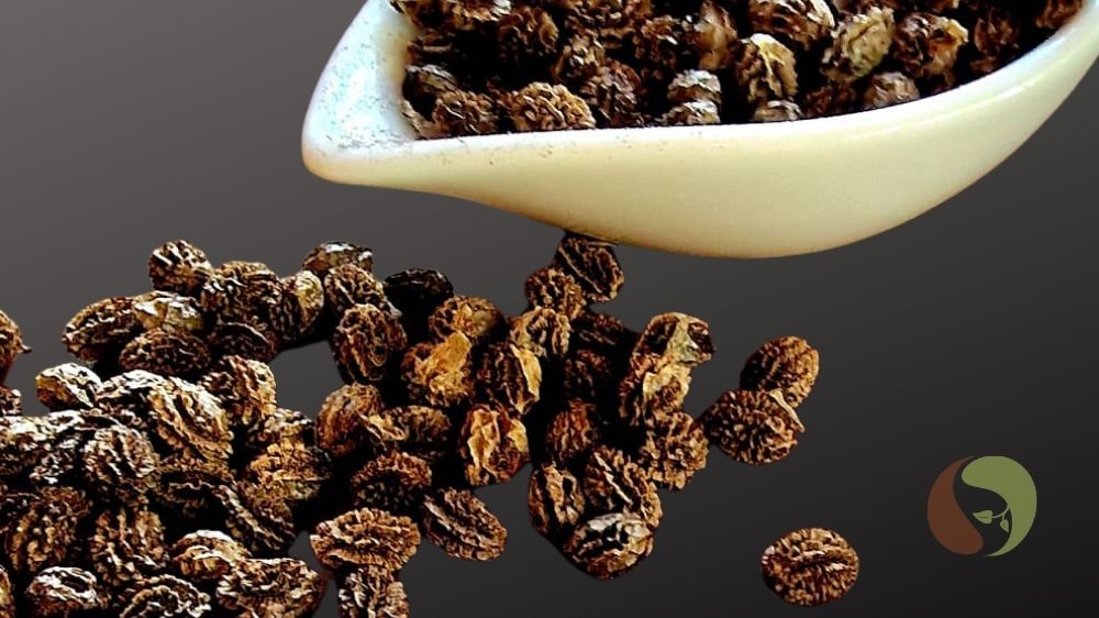 Papaya Kerne, Papaya Pfeffer, Papaya Samen