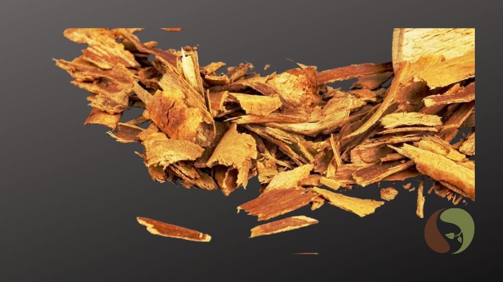 Handgeschnittener Ceylon-Zimt ALBA – ideal für die Mühle