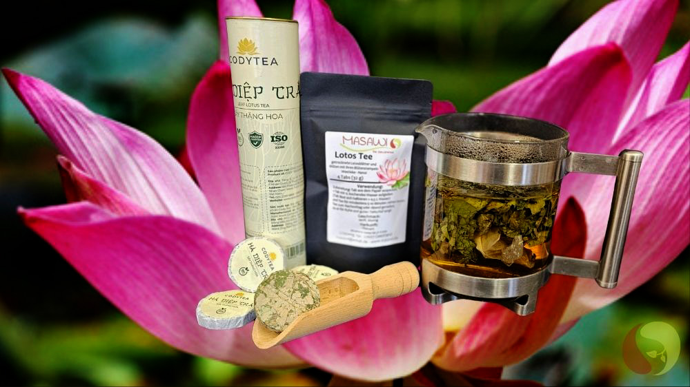 Lotos Tee aus Hanoi – West Lake Imperial Lotus Tea - 4 Tabs