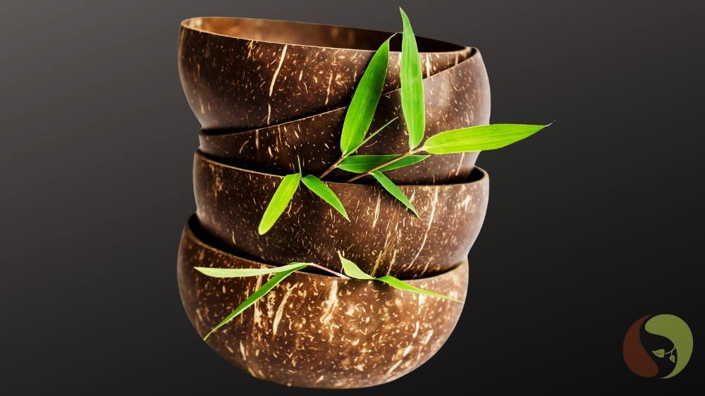 4 Stück Kokosnussschalen, Müslischale, Smoothie Bowl, Sushi-Bowl