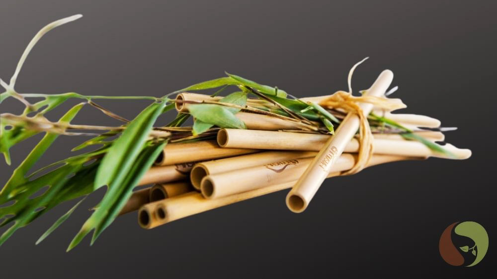 Bambus Trinkhalme mit 2 Reinigungsbürsten 25 Stück