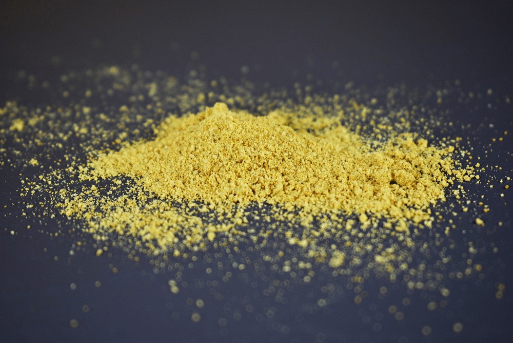 Asafötida -Teufelsdreck