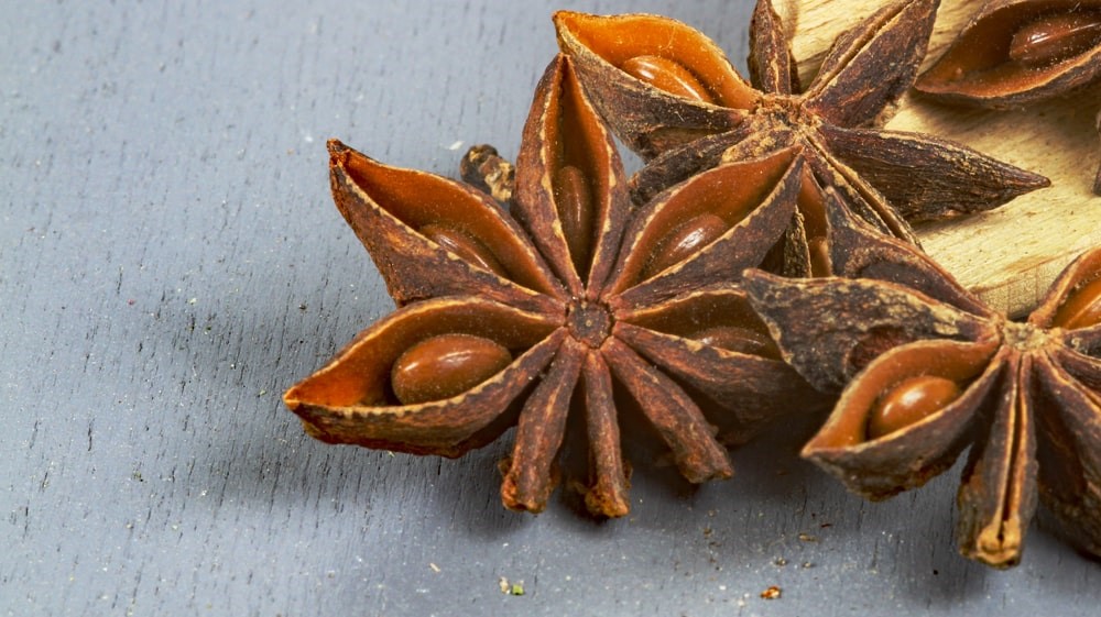 Wilder Sternanis aus  Vietnam