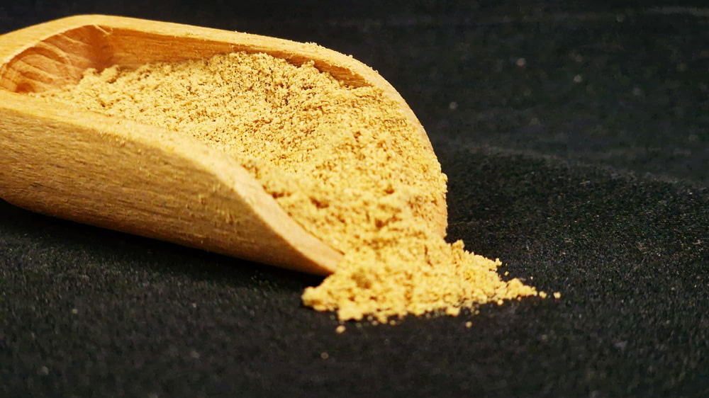 Wilder Berg Ingwer aus Zentral Vietnam, pulverisiert