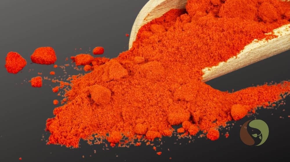 Serbischer Bauernpaprika rot rosenscharf