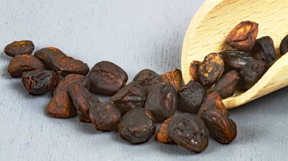 Hat Doi - Waldsamen, vietnamesische Grillbohne