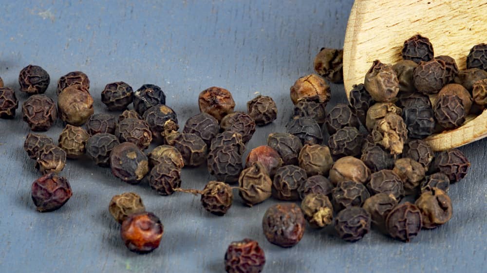 Dak Lak Bergpfeffer aus Vietnam