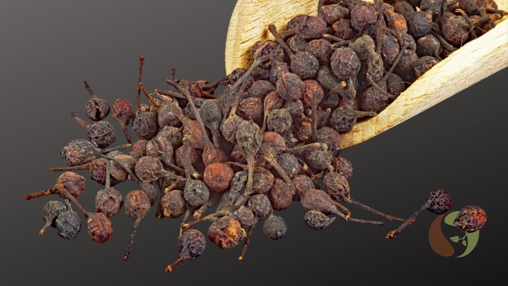 Voatsiperifery - Urwaldpfeffer aus Madagaskar