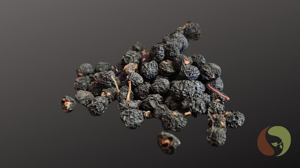 Tasmanischer Bergpfeffer 20 g – Wildsammlung | Masawi