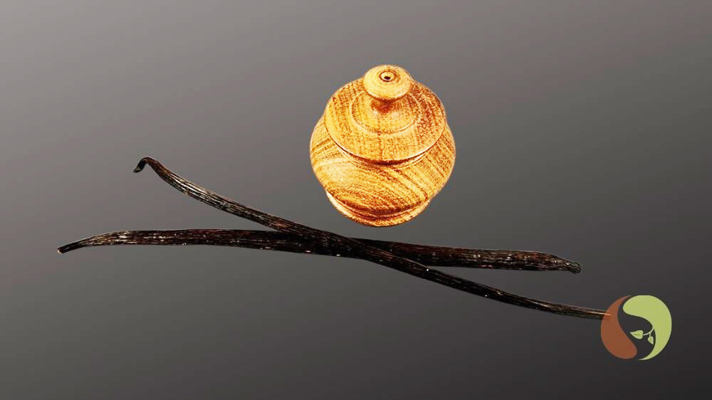 2 Stück Sri Lanka Vanille – Vanilla planifolia im Glasröhrchen