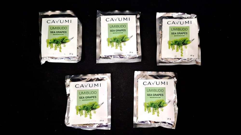 Umibudo - Sea Grapes - Meereskaviar - vegan