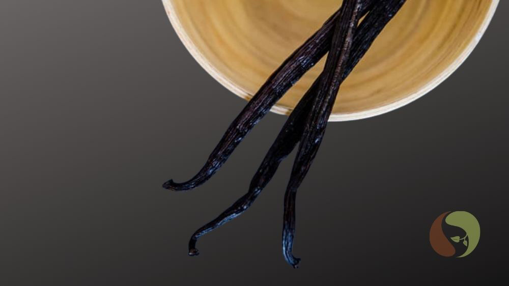 Gourmet Vanille - Tahitensis Vanille aus Papua-Neuguinea – Masawi