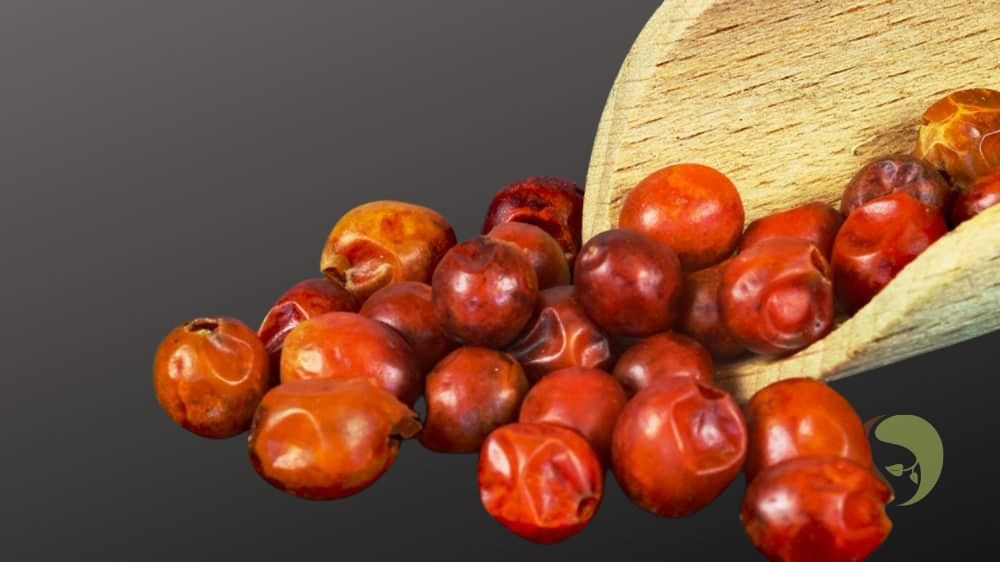 Chiltepin, mexikanische Ur-Chili,