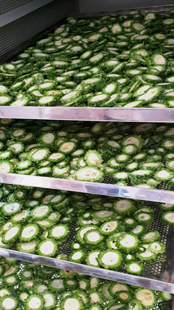 20250115_blog_newsletter_bittermelone_in_trockenmaschine_02