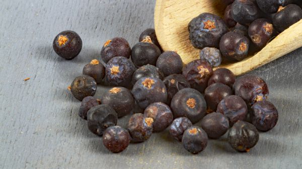 Wacholderbeeren aus Skandinavien