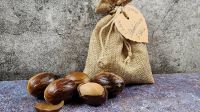 5 Muskatnüsse aus Sri Lanka frische Ernte Jutesäckchen