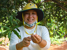 Quyen-macadamianuss-Dak-Lak220x165