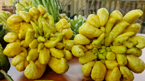 Buddhashand