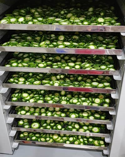 Bittermelone-in-der-trockenmaschine-2021