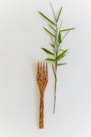 Kokospalmholz-Besteck, 19 cm Palmenholz Gabel