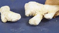 Ingwer, ganze Wurzel, 25 g Packung
